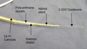 Endoscopic Devices