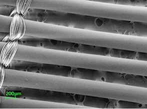 electron microscope image of hollow fiber membrane