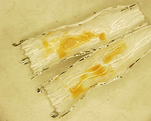 Ension’s biocompatible surface modification